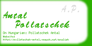 antal pollatschek business card